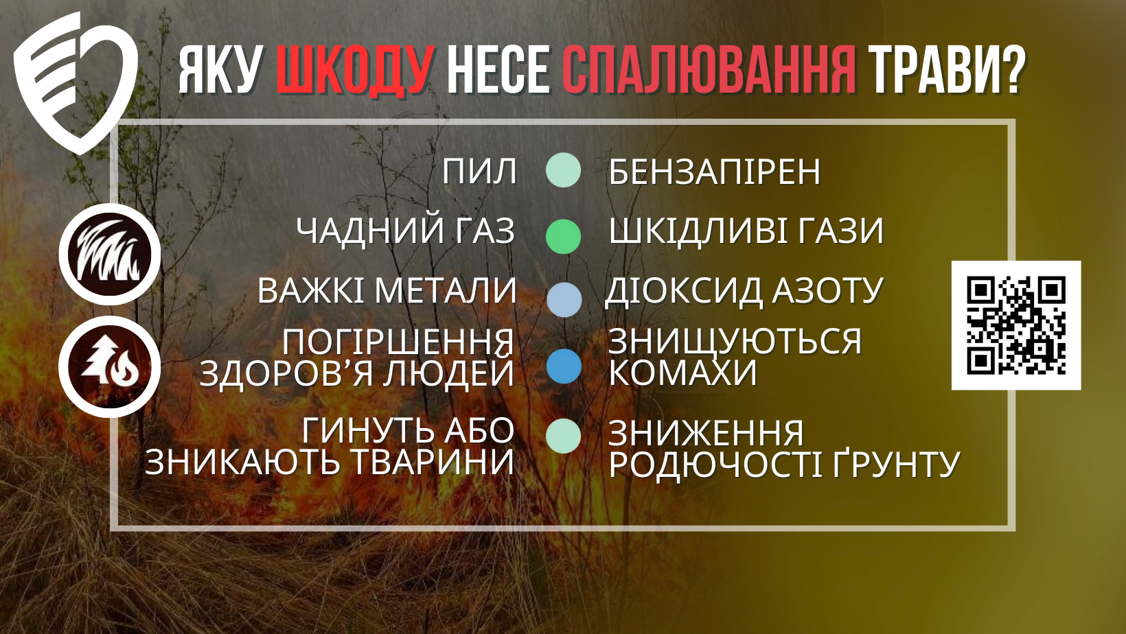 Яку шкоду несе спалювання трави? 10 основних фактів