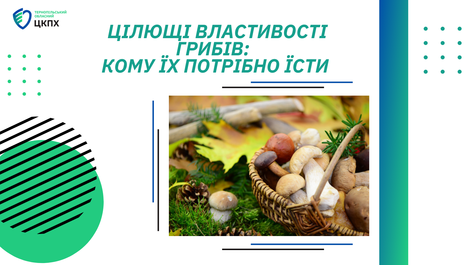 ✨ Цілющі властивості грибів: кому їх потрібно їсти