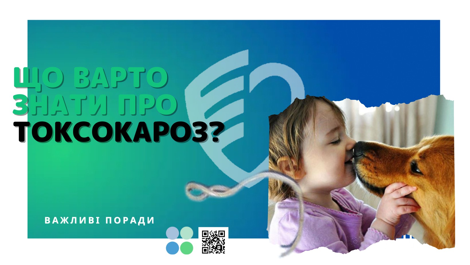 🔵 Що варто знати про токсокароз❓