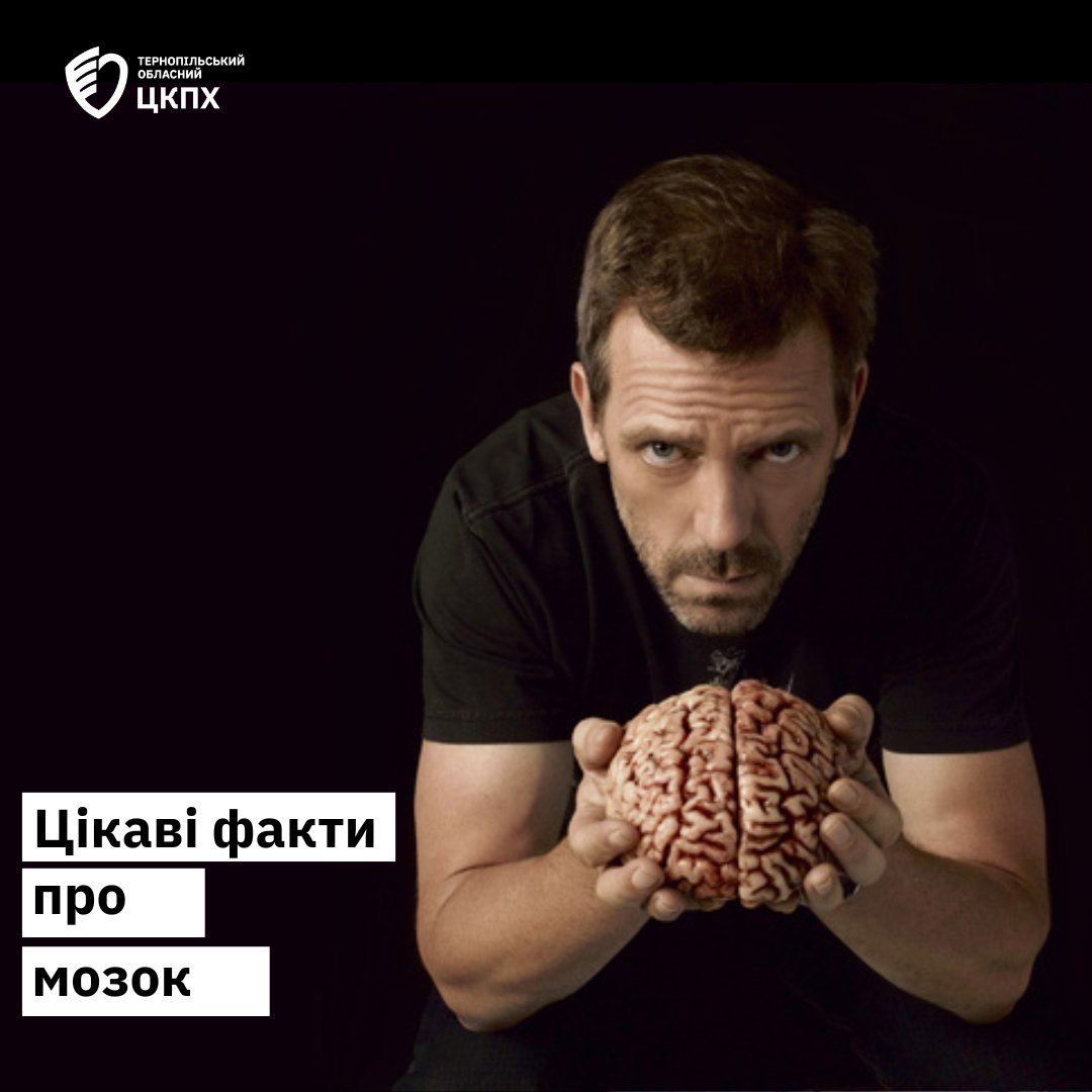 👨🏻‍⚕️Цікаві факти про мозок🧠