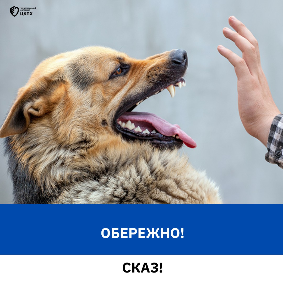 ❗️❗️❗️Обережно – СКАЗ❗️❗️❗️