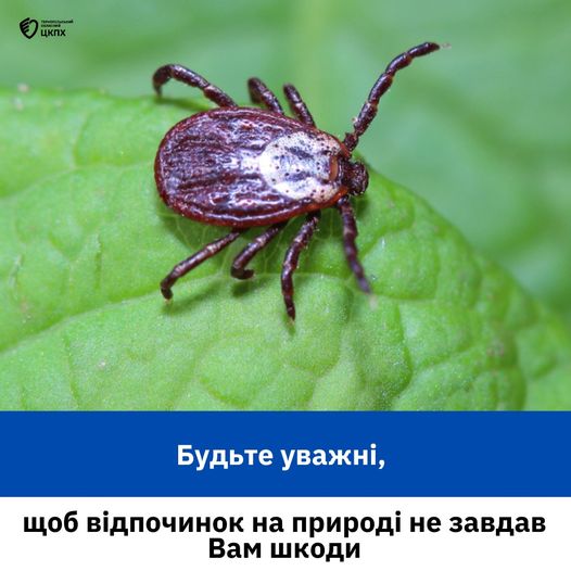 💁Будьте уважні, щоб відпочинок на природі не завдав Вам шкоди🏕️