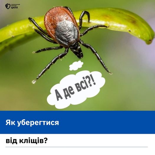 🤔Як уберегтися від кліщів❓