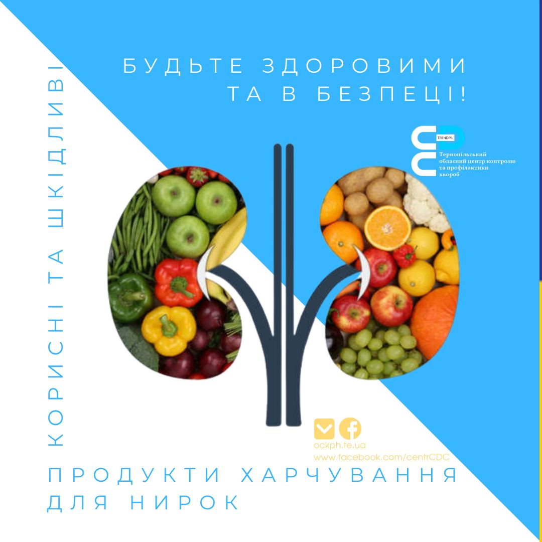 🟦 Корисні та шкідливі для нирок продукти харчування