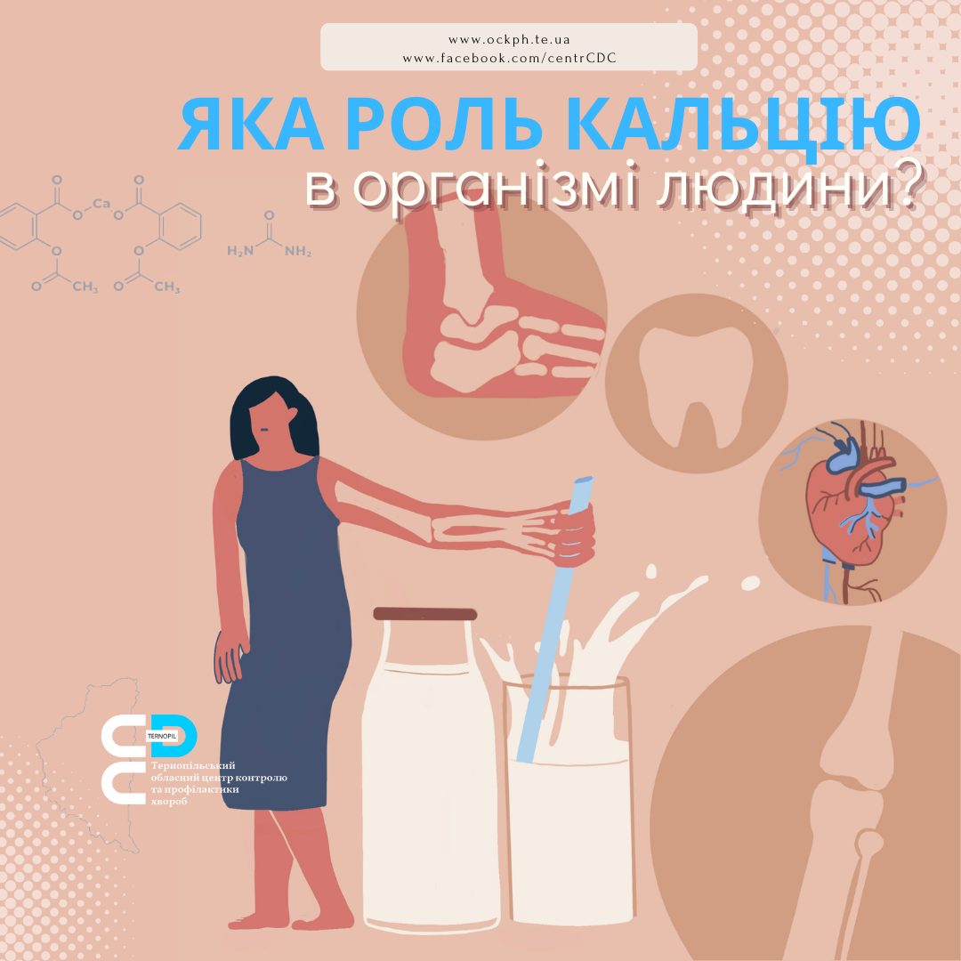 Яка роль кальцію в організмі людини?