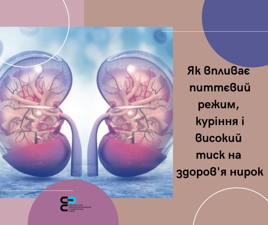 Як впливає питтєвий режим, куріння і високий тиск на здоров’я нирок?