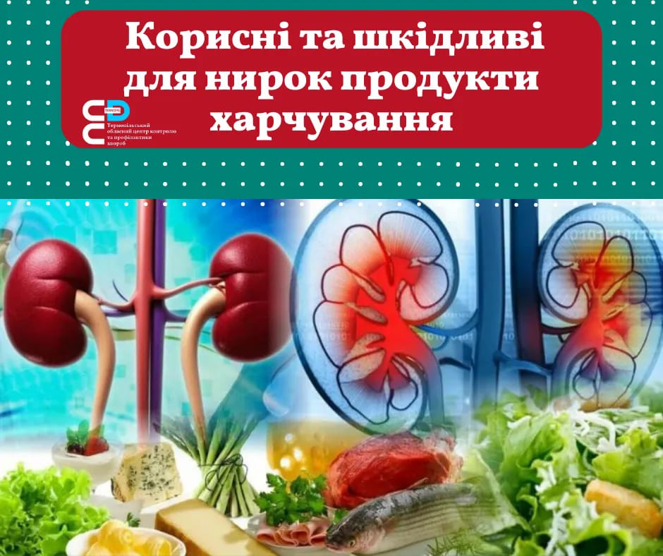 ✅️🥗Корисні та шкідливі для нирок продукти харчування