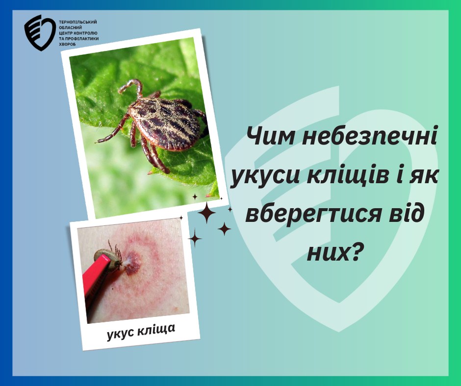 Чим небезпечні укуси кліщів і як вберегтися від них?