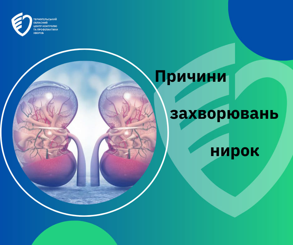 👨‍⚕️Причини захворювань нирок