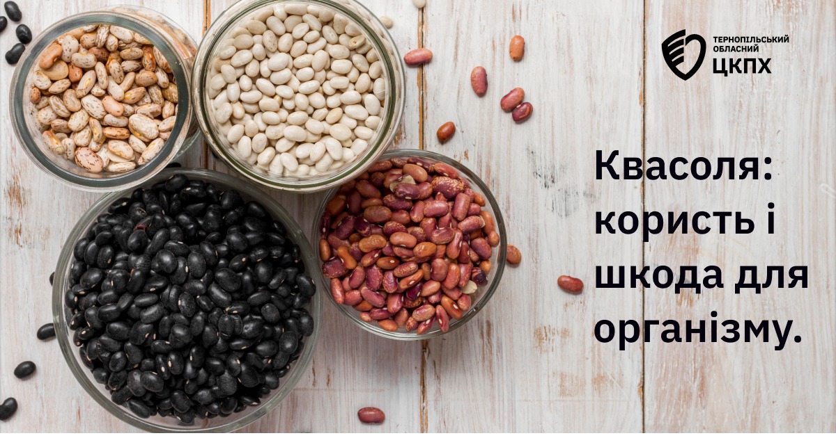 Квасоля: користь і шкода для вашого організму