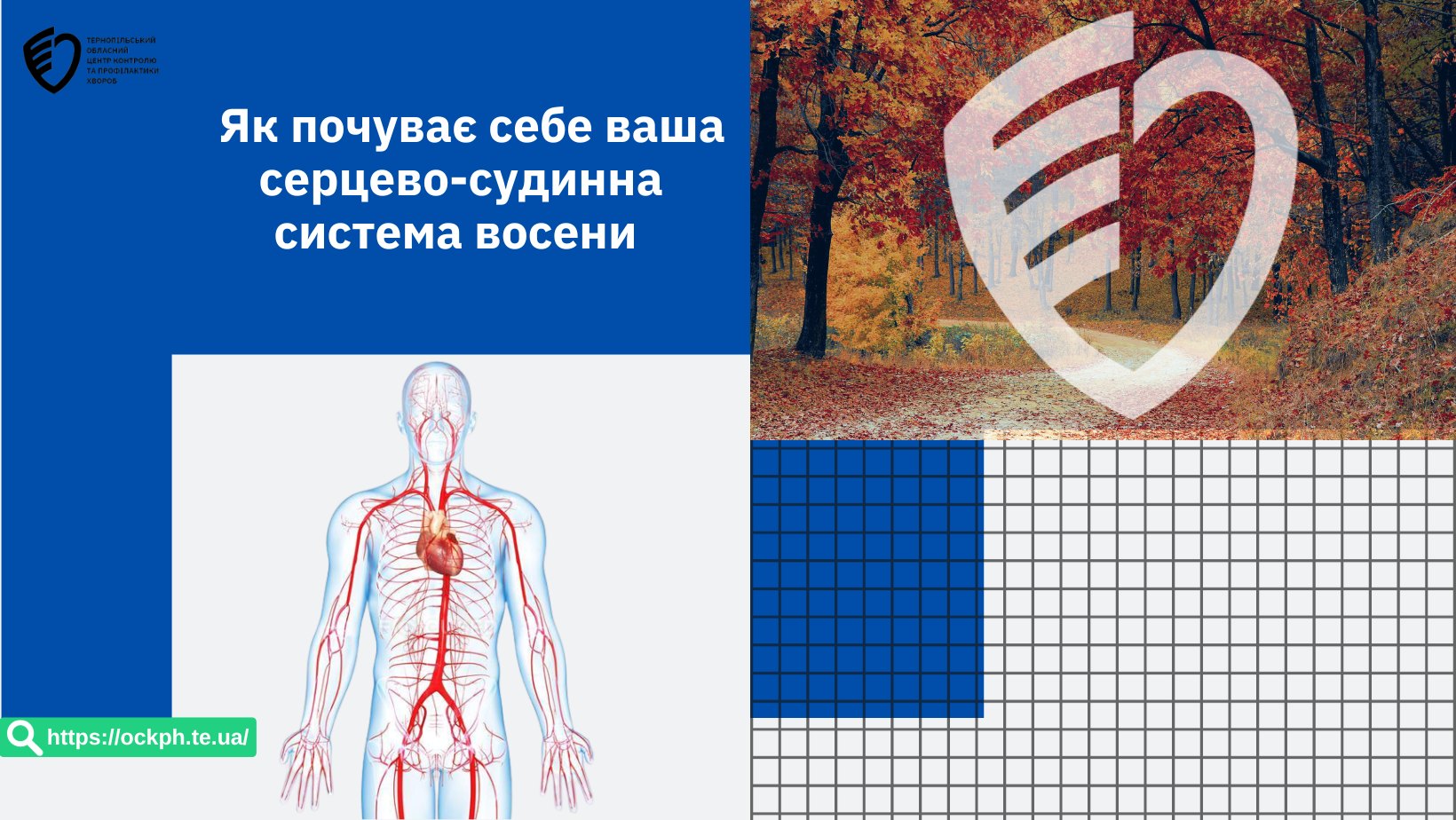 Як почуває себе ваша серцево-судинна система восени?