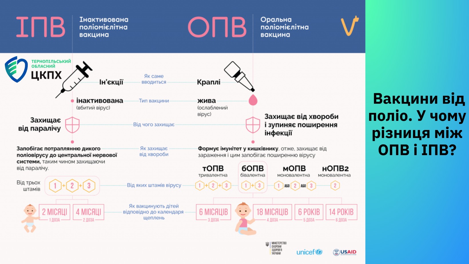 Вакцини від поліо. У чому різниця між ОПВ і ІПВ?