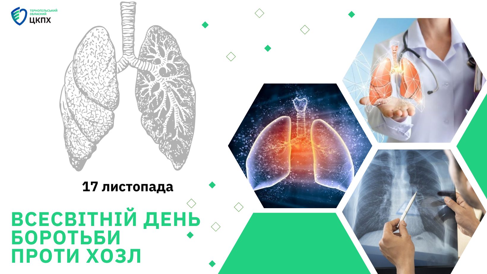 17 листопада − Всесвітній день боротьби проти ХОЗЛ