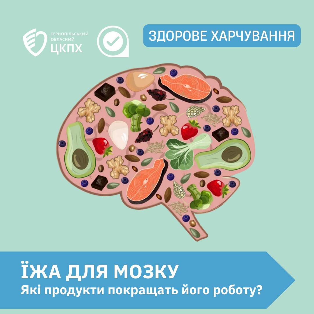 Їжа для мозку. Які продукти покращать його роботу?