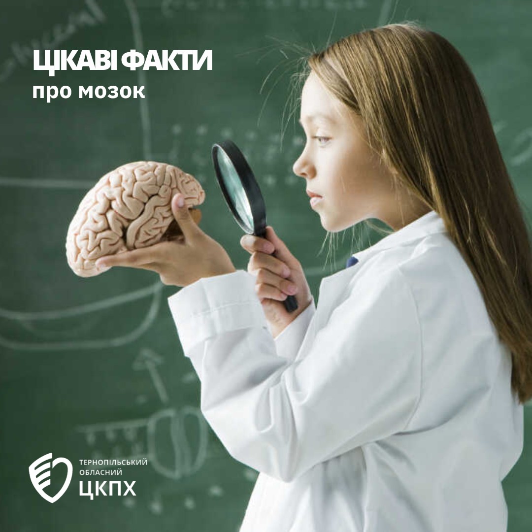 Цікаві факти про мозок🧠